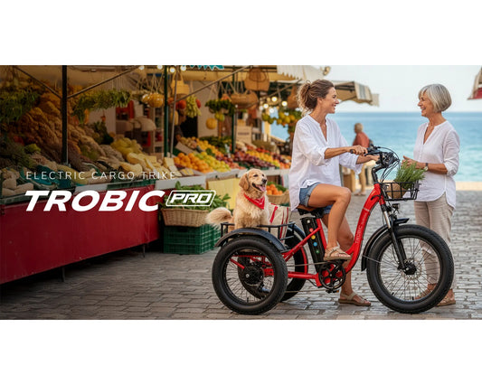 EMMO TROBIC PRO ELECTRIC TRICYCLE