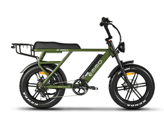 PARALO PRO PREMIUM TWO-SEATER MOPED STYLE E-BIKE