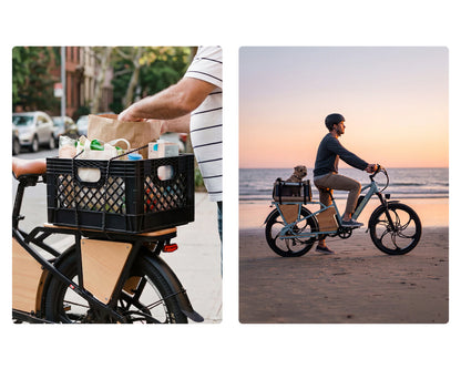 EMMO EHAUL PRO         Premium Cargo Ebike