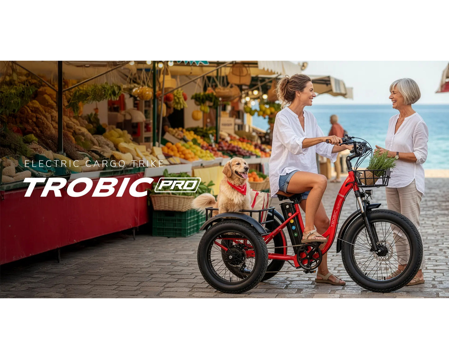 EMMO TROBIC PRO ELECTRIC TRICYCLE