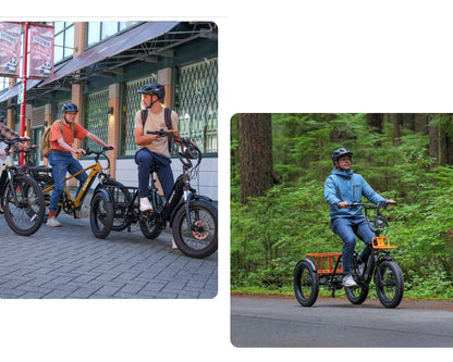 ENVO FLEX TRIKE
