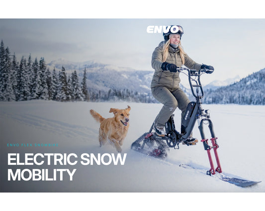 FLEX ELECTRIC SNOWBIKE