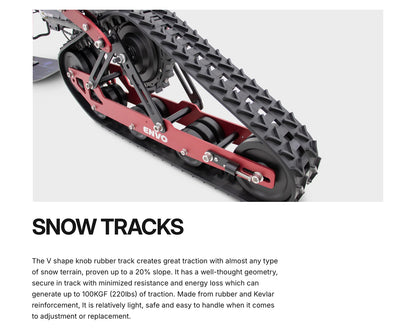 FLEX ELECTRIC SNOWBIKE