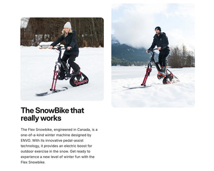 FLEX ELECTRIC SNOWBIKE