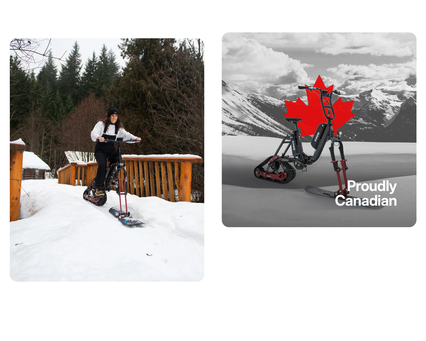 FLEX ELECTRIC SNOWBIKE