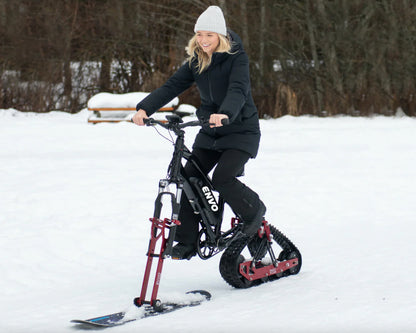FLEX ELECTRIC SNOWBIKE