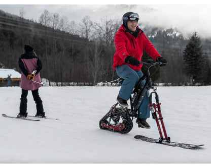 FLEX ELECTRIC SNOWBIKE