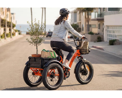 OIIOS TRIOX ELECTRIC TRICYCLE